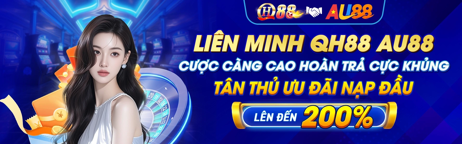 Banner PC Qh88 1