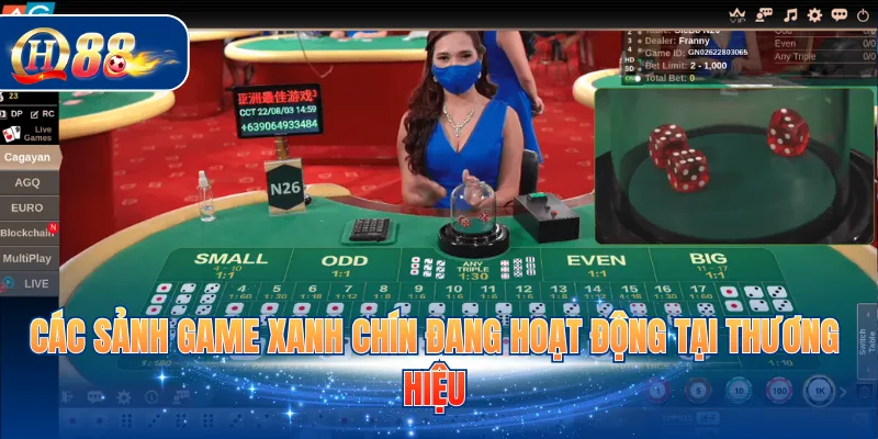 Các sảnh game xanh chín đang hoạt động tại thương hiệu